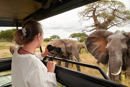 Från Zanzibar: 1-dagars flygsafari till Mikumi nationalpark