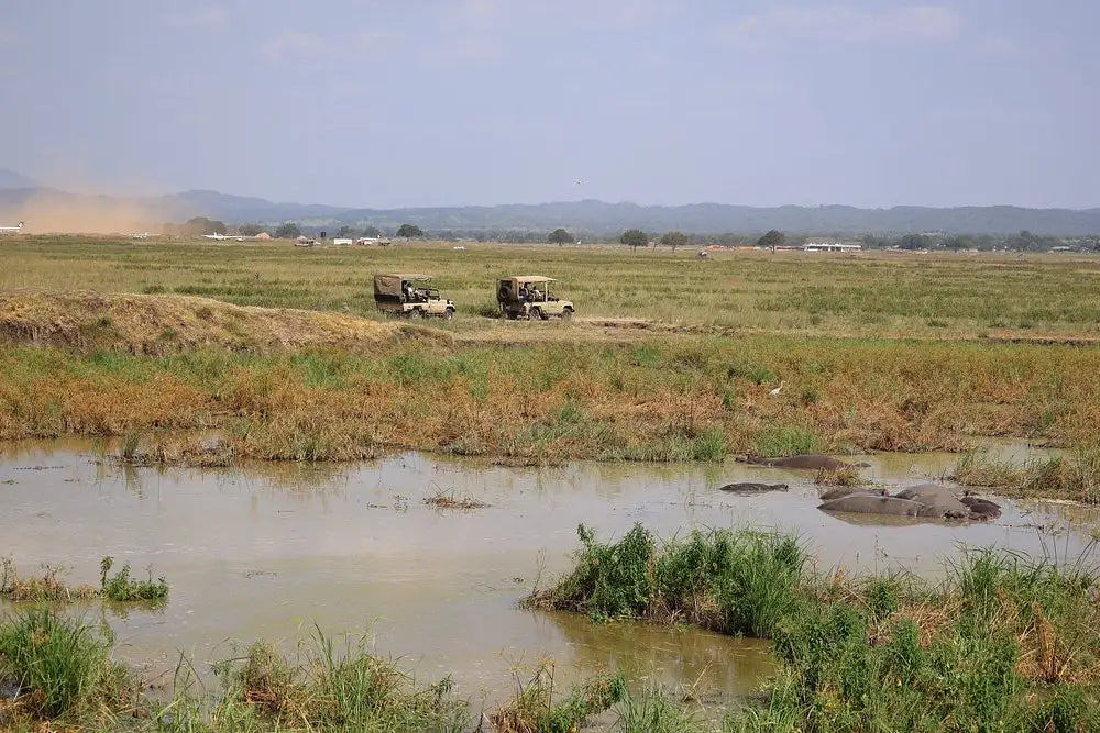 From Zanzibar : Safari aérien d’une journée au parc national de Mikumi