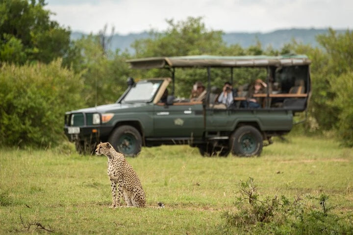 From Zanzibar : Safari aérien d’une journée au parc national de Mikumi