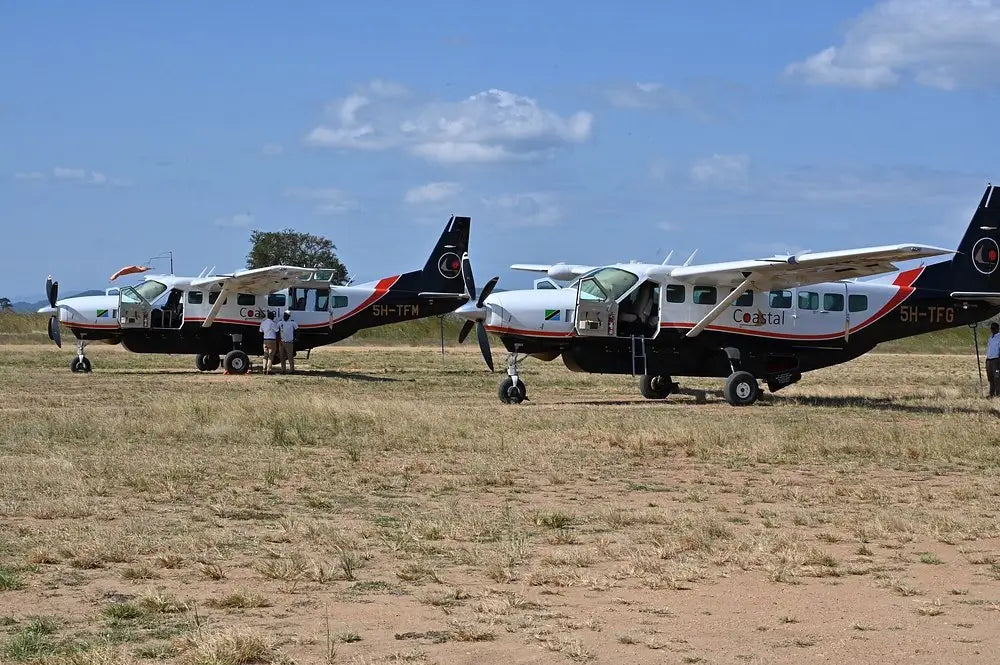 From Zanzibar : Safari aérien d’une journée au parc national de Mikumi