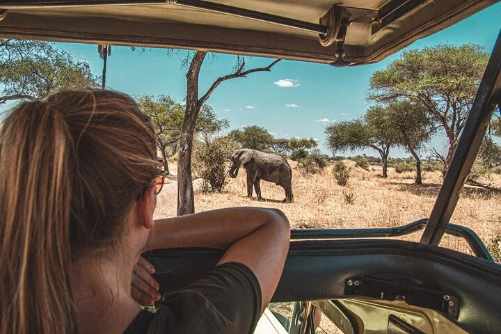 From Zanzibar : Safari aérien d’une journée au parc national de Mikumi