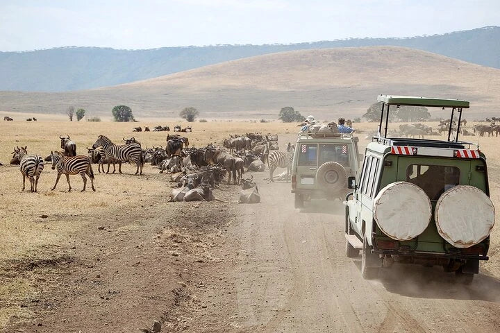 From Zanzibar : Safari aérien d’une journée au parc national de Mikumi