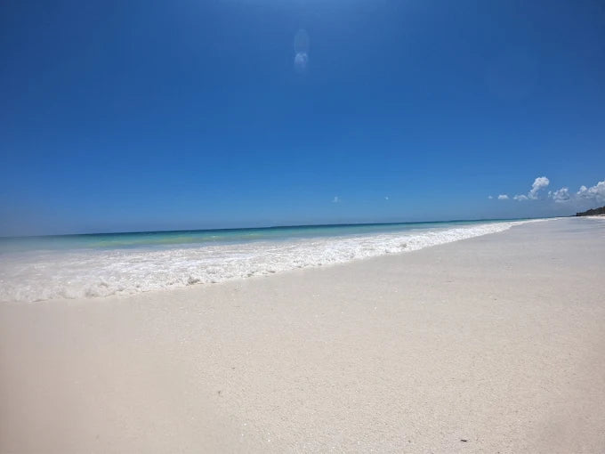 Sansibar: Halbtagestour zum Schnorcheln auf Bawe Island mit Hotelabholung
