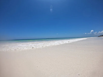Sansibar: Halbtagestour zum Schnorcheln auf Bawe Island mit Hotelabholung