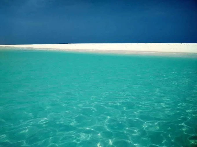 Sansibar: Halbtagestour zum Schnorcheln auf Bawe Island mit Hotelabholung
