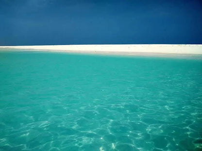 Sansibar: Halbtagestour zum Schnorcheln auf Bawe Island mit Hotelabholung