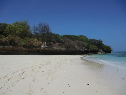 Sansibar: Halbtagestour zum Schnorcheln auf Bawe Island mit Hotelabholung