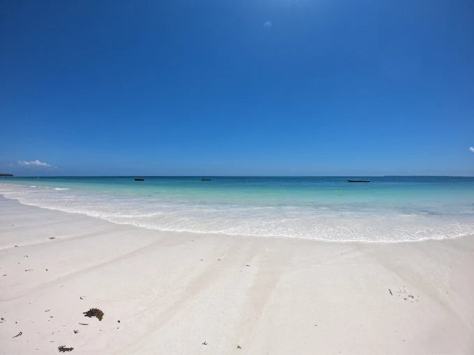 Sansibar: Halbtagestour zum Schnorcheln auf Bawe Island mit Hotelabholung