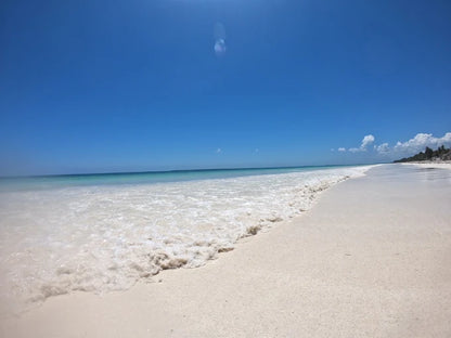 Sansibar: Halbtagestour zum Schnorcheln auf Bawe Island mit Hotelabholung