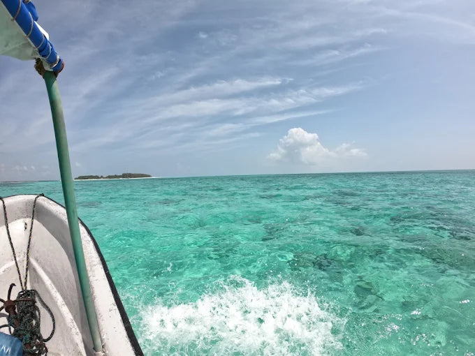 Sansibar: Halbtagestour zum Schnorcheln auf Bawe Island mit Hotelabholung