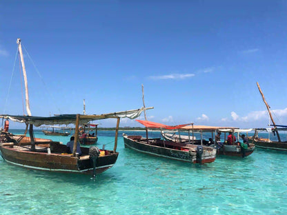 Sansibar: Halbtagestour zum Schnorcheln auf Bawe Island mit Hotelabholung
