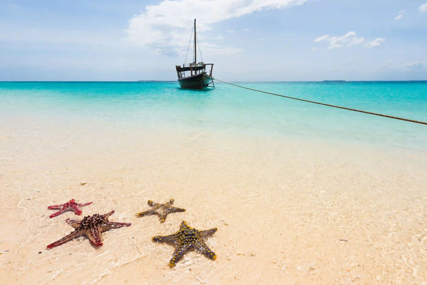 Sansibar: Halbtagestour zum Schnorcheln auf Bawe Island mit Hotelabholung