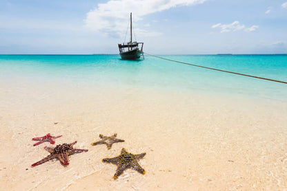 Sansibar: Halbtagestour zum Schnorcheln auf Bawe Island mit Hotelabholung