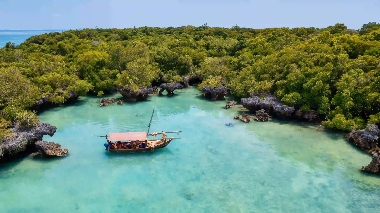 Sansibar: Halbtagestour zum Schnorcheln auf Bawe Island mit Hotelabholung