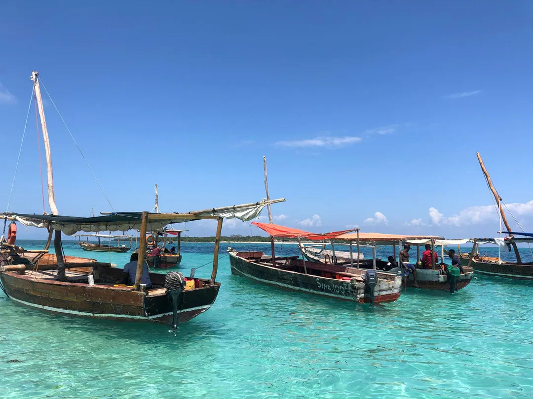 Sansibar: Private geführte Schnorcheltour zur Blue Lagoon (halbtägig)