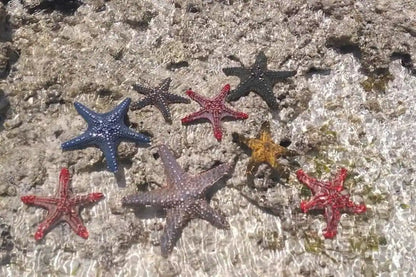 Zanzíbar: tour de esnórquel en la Laguna Azul y de estrellas de mar