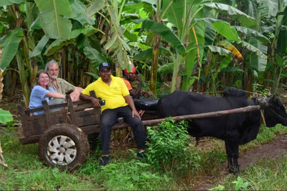 Zanzibar: Tour del Villaggio Culturale e della Natura con Grotte di Pangoni e Canoa