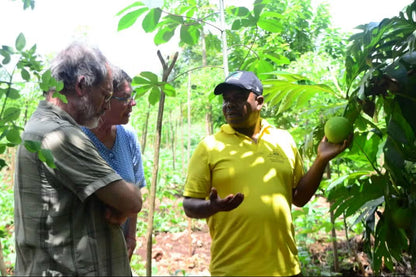 Zanzibar: Tour del Villaggio Culturale e della Natura con Grotte di Pangoni e Canoa