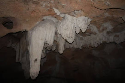 Zanzibar: Tour del Villaggio Culturale e della Natura con Grotte di Pangoni e Canoa