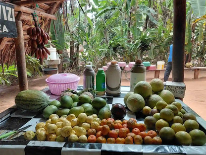 Zanzibar : expérience avec les dauphins, forêt de Jozani, ferme aux épices et visite privée de Stone Town