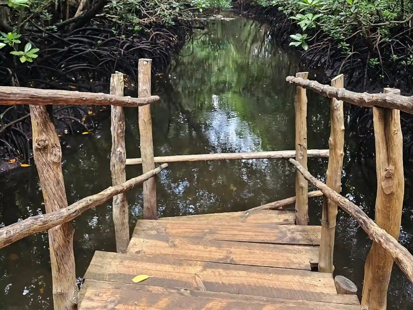 Zanzibar : expérience avec les dauphins, forêt de Jozani, ferme aux épices et visite privée de Stone Town