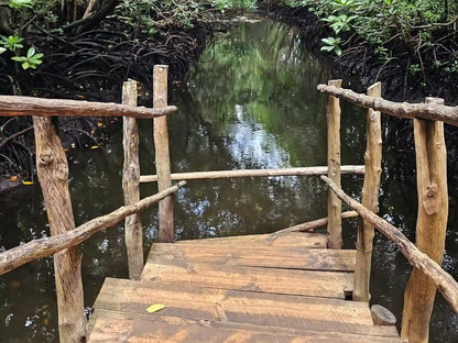 Zanzibar : expérience avec les dauphins, forêt de Jozani, ferme aux épices et visite privée de Stone Town