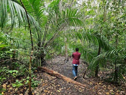Zanzibar : expérience avec les dauphins, forêt de Jozani, ferme aux épices et visite privée de Stone Town