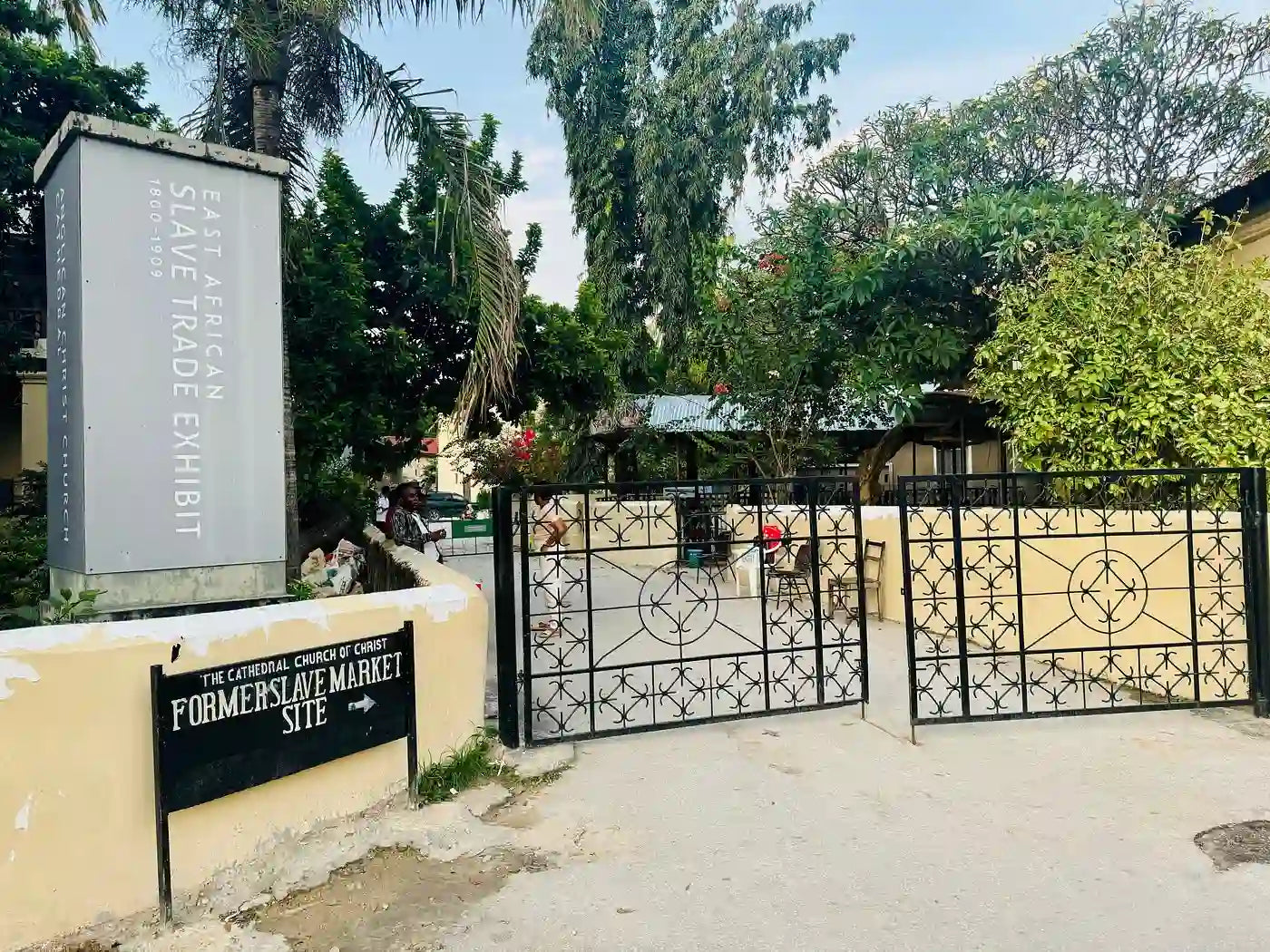 Zanzibar : expérience avec les dauphins, forêt de Jozani, ferme aux épices et visite privée de Stone Town