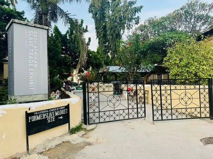 Zanzibar : expérience avec les dauphins, forêt de Jozani, ferme aux épices et visite privée de Stone Town