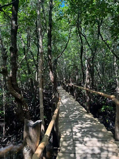 Zanzibar : expérience avec les dauphins, forêt de Jozani, ferme aux épices et visite privée de Stone Town