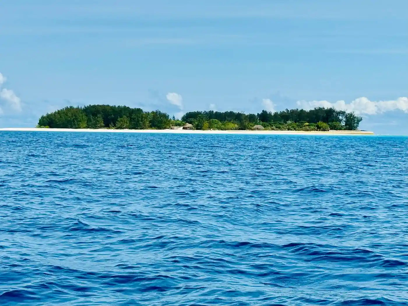 Zanzibar : expérience avec les dauphins, forêt de Jozani, ferme aux épices et visite privée de Stone Town