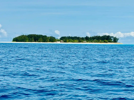 Zanzibar : expérience avec les dauphins, forêt de Jozani, ferme aux épices et visite privée de Stone Town