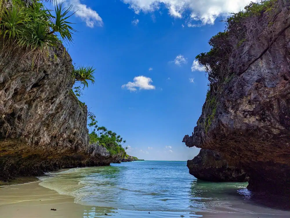 Zanzibar: wycieczka z przewodnikiem do lasu Jozani, jaskini Salaam i na plażę Mtende