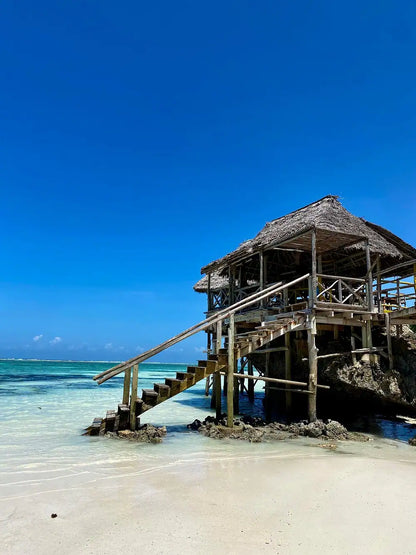 Zanzibar: wycieczka z przewodnikiem do lasu Jozani, jaskini Salaam i na plażę Mtende