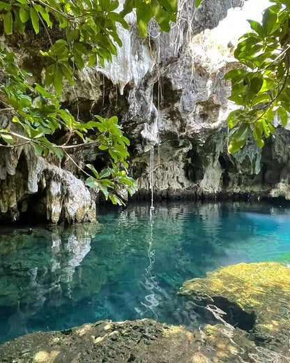 Zanzibar: Prywatna wycieczka do lasu Jozani, Centrum Motyli i jaskini Maalum