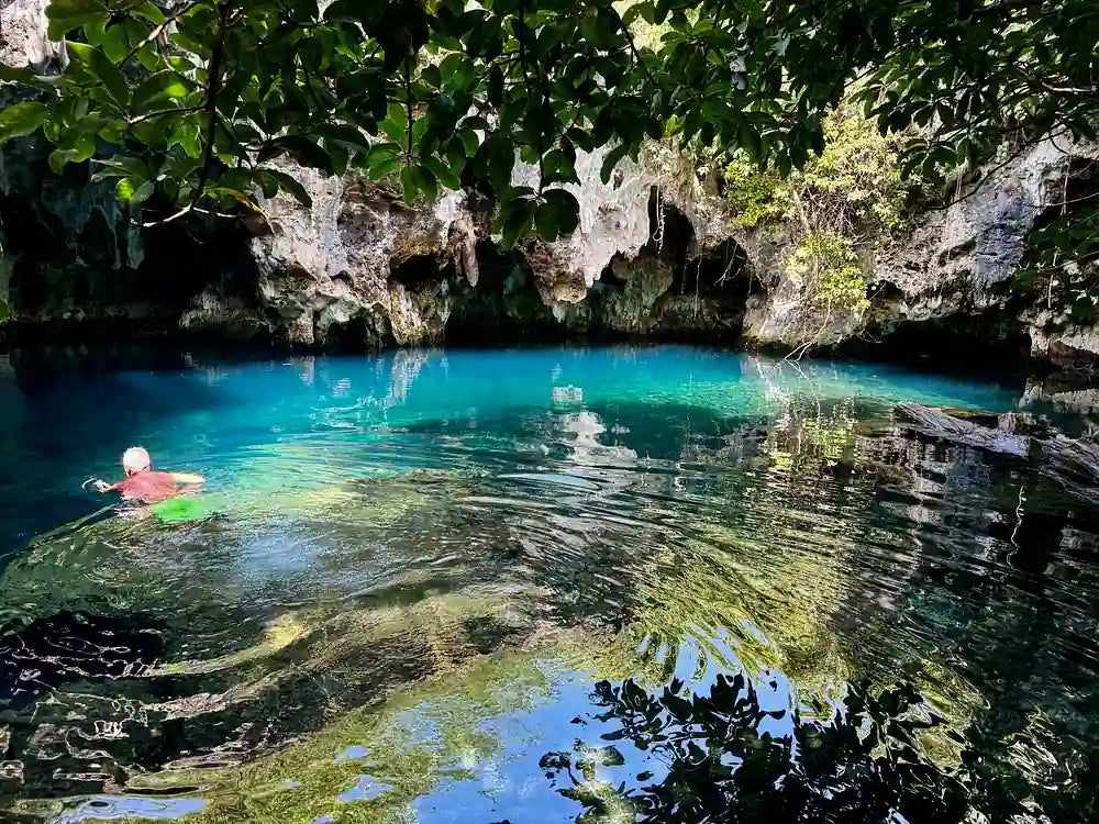 Zanzibar: Prywatna wycieczka do lasu Jozani, Centrum Motyli i jaskini Maalum