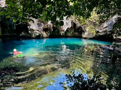 Zanzibar: Prywatna wycieczka do lasu Jozani, Centrum Motyli i jaskini Maalum