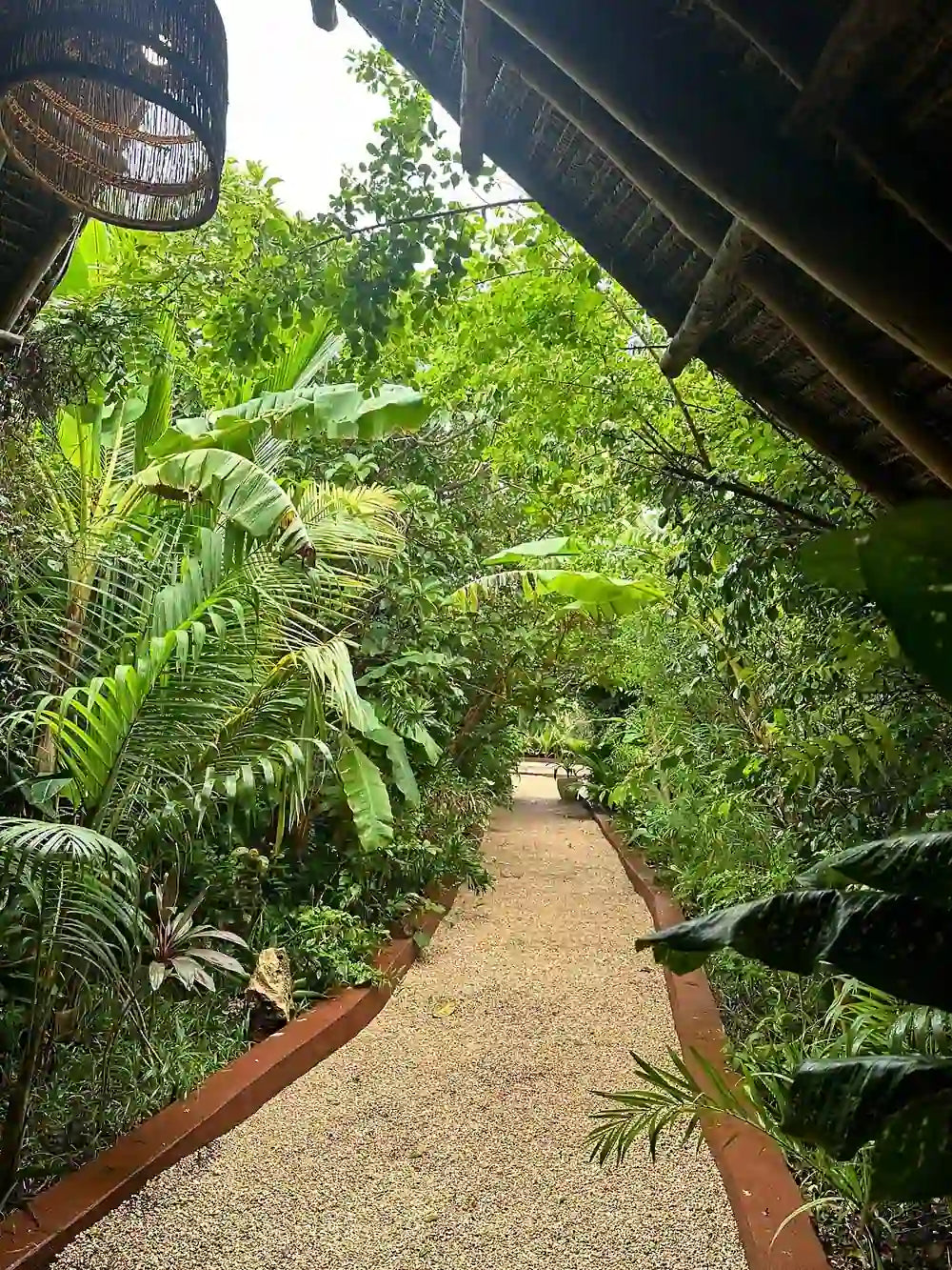 Zanzibar: Prywatna wycieczka do lasu Jozani, Centrum Motyli i jaskini Maalum