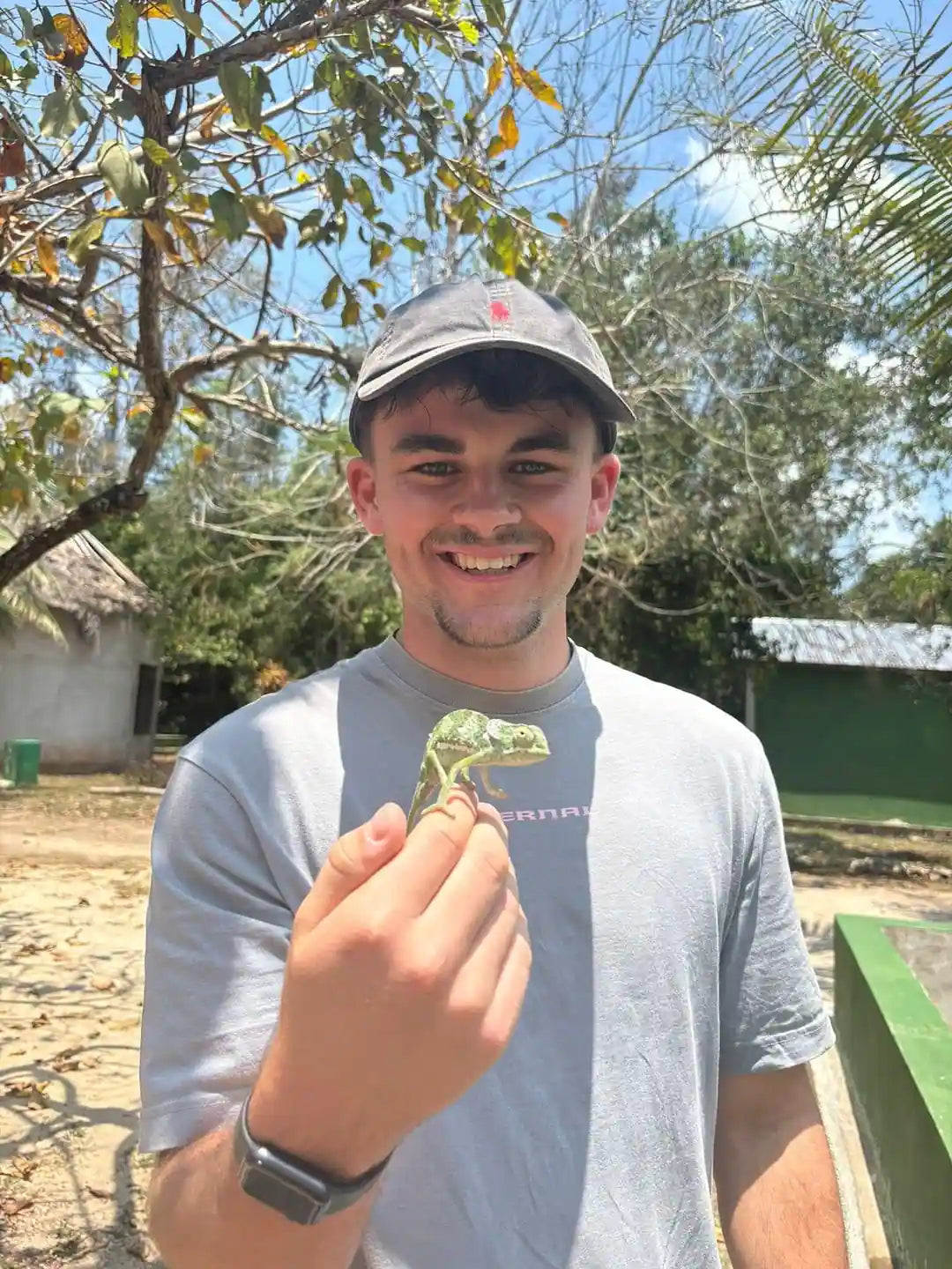 Zanzibar: Jozani Forest, Butterfly Centre and Reptile Park Guided Tour