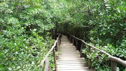 Zanzibar: Jozani Forest, Butterfly Centre and Reptile Park Guided Tour