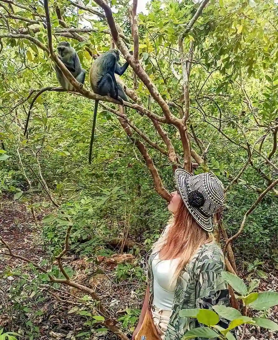 Zanzibar: Jozani Forest, Butterfly Centre and Reptile Park Guided Tour