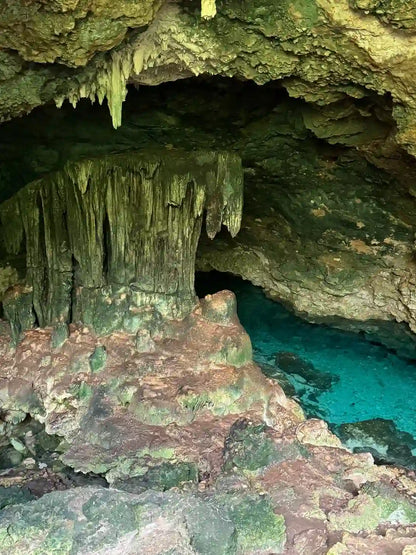 Zanzibar : visite privée de la forêt de Jozani, de la grotte de Kuza et de la plage de Paje