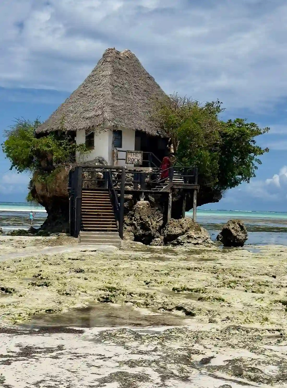 Zanzibar : visite privée de la forêt de Jozani, de la grotte de Kuza et de la plage de Paje
