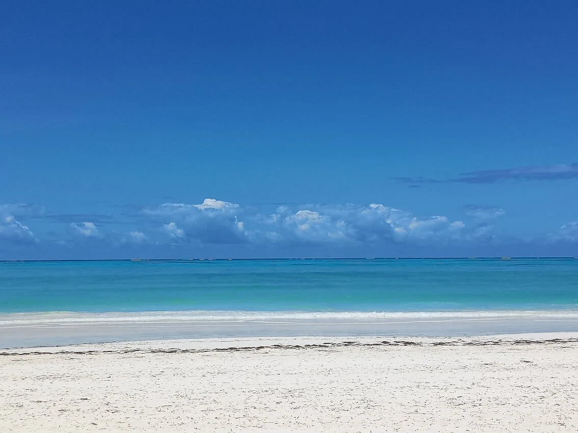 Zanzibar : visite privée de la forêt de Jozani, de la grotte de Kuza et de la plage de Paje