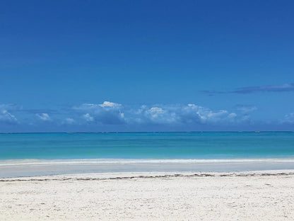Zanzibar : visite privée de la forêt de Jozani, de la grotte de Kuza et de la plage de Paje