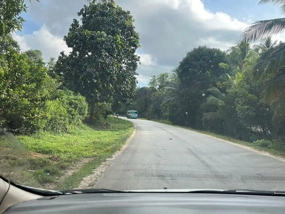Zanzibar : visite privée de la forêt de Jozani, de la grotte de Kuza et de la plage de Paje
