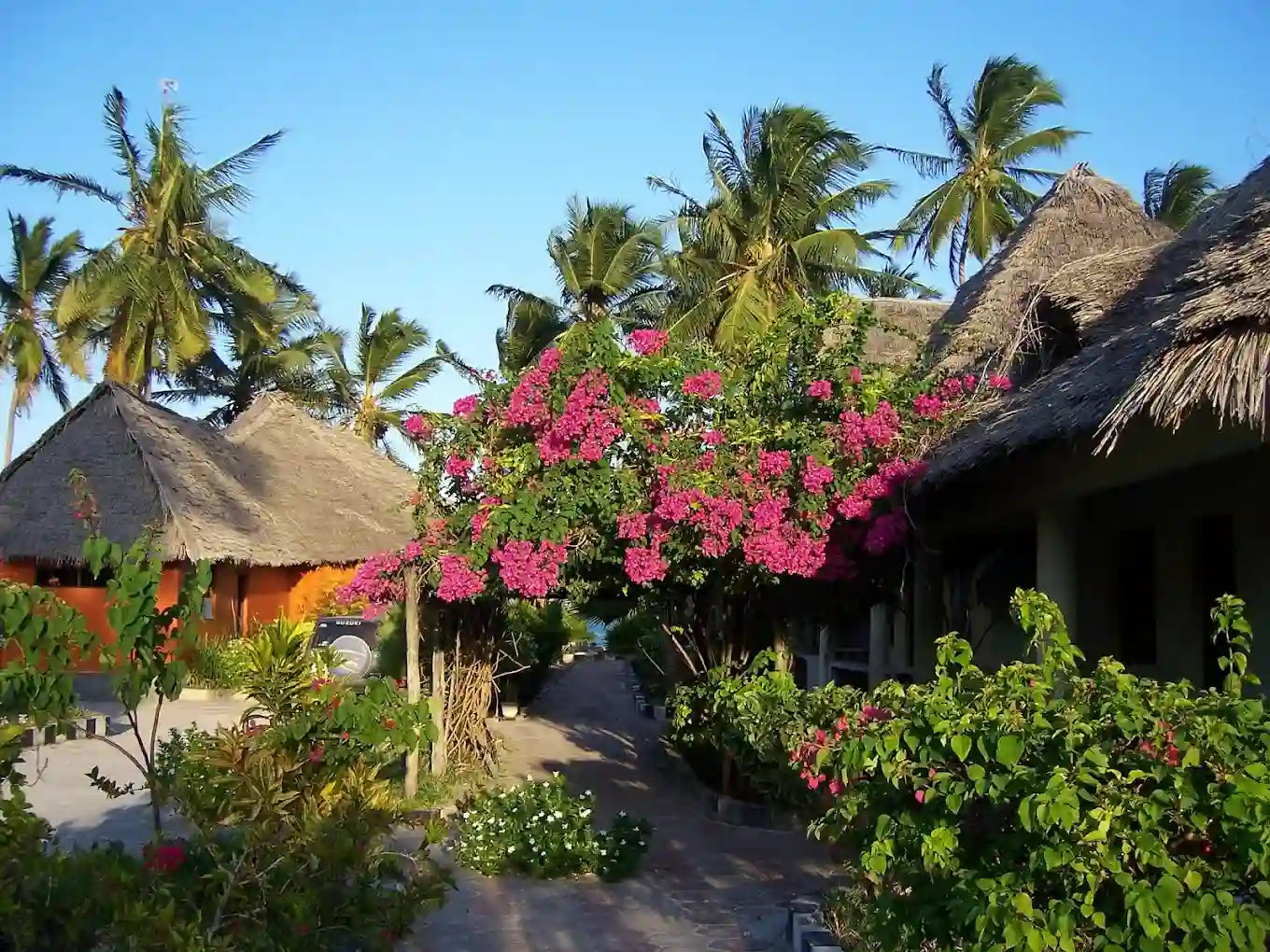 Zanzibar : visite privée de la forêt de Jozani, de la grotte de Kuza et de la plage de Paje