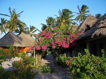 Zanzibar : visite privée de la forêt de Jozani, de la grotte de Kuza et de la plage de Paje