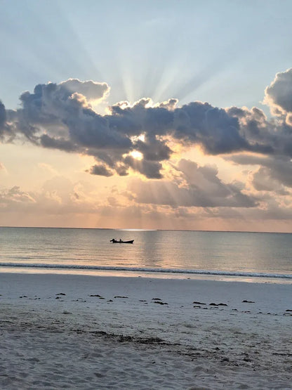 Zanzibar : visite privée de la forêt de Jozani, de la grotte de Kuza et de la plage de Paje