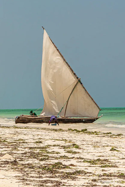 Zanzibar : visite privée de la forêt de Jozani, de la grotte de Kuza et de la plage de Paje